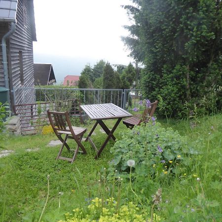 Haus Bergwiese - Fuer Naturfreunde, Familien, Wanderer Gehlberg Bagian luar foto